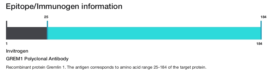 GREM1 Polyclonal Antibody