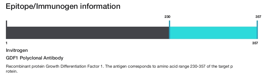 GDF1 Polyclonal Antibody