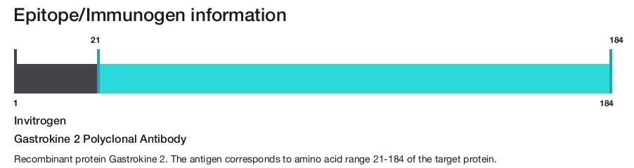 Gastrokine 2 Polyclonal Antibody