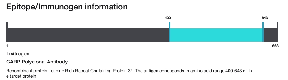 GARP Polyclonal Antibody