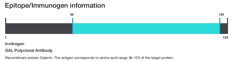 GAL Polyclonal Antibody