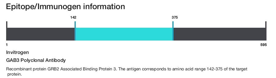 GAB3 Polyclonal Antibody