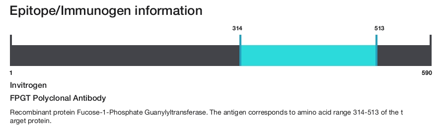 FPGT Polyclonal Antibody