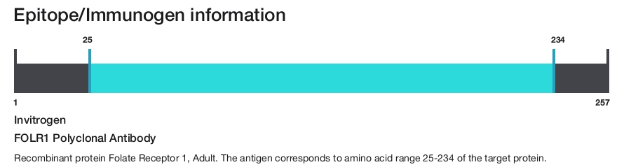 FOLR1 Polyclonal Antibody