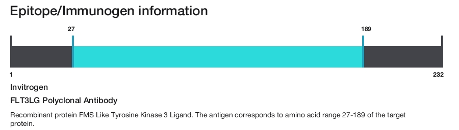 FLT3LG Polyclonal Antibody