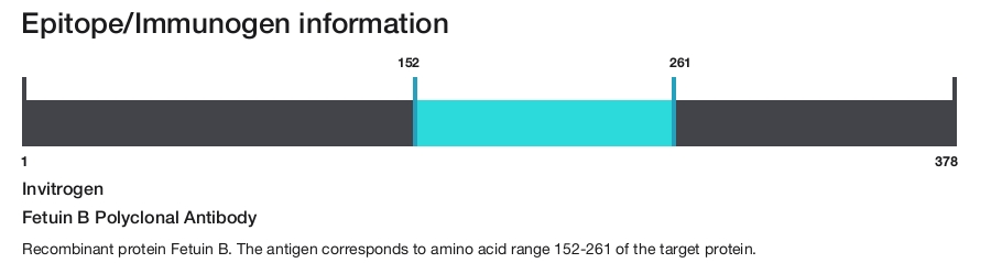 Fetuin B Polyclonal Antibody