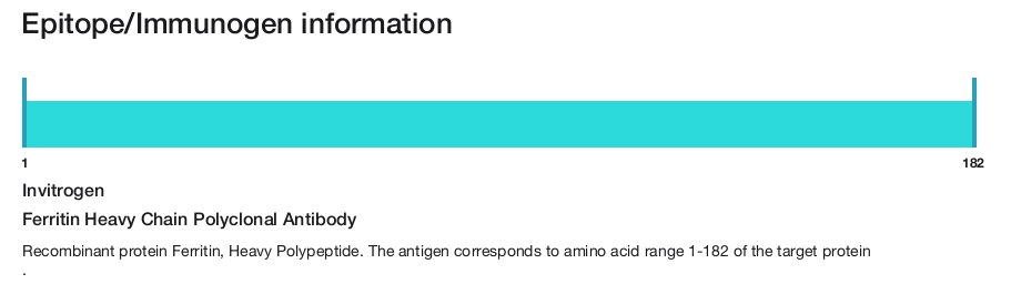 Ferritin Heavy Chain Polyclonal Antibody