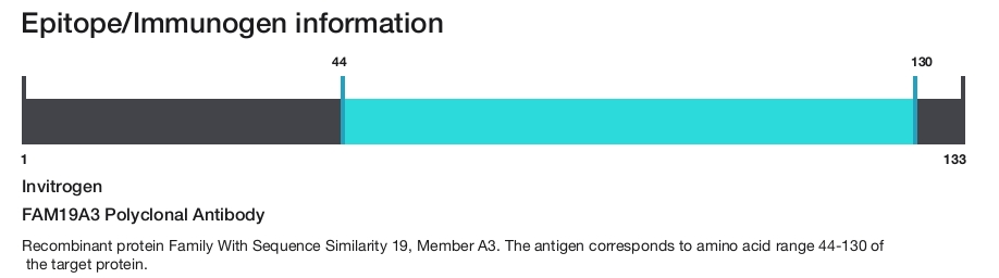 FAM19A3 Polyclonal Antibody