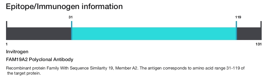 FAM19A2 Polyclonal Antibody