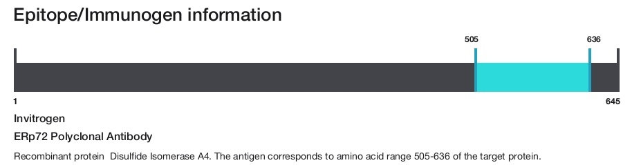 ERp72 Polyclonal Antibody