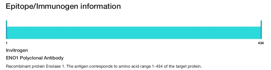 ENO1 Polyclonal Antibody