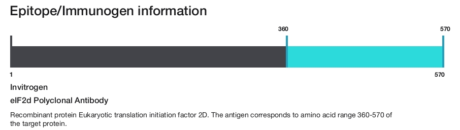 eIF2d Polyclonal Antibody