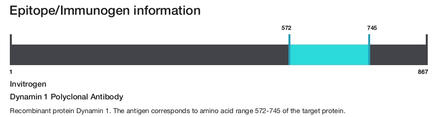Dynamin 1 Polyclonal Antibody