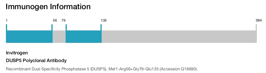 DUSP5 Polyclonal Antibody