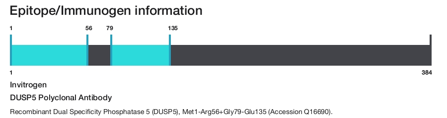 DUSP5 Polyclonal Antibody
