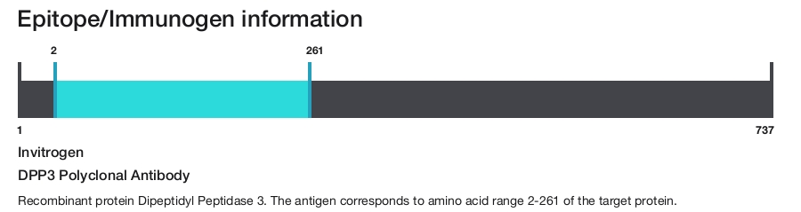 DPP3 Polyclonal Antibody