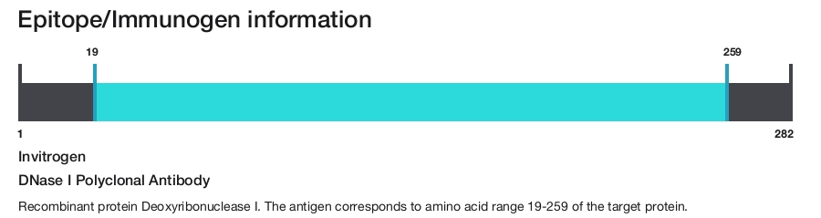 DNase I Polyclonal Antibody
