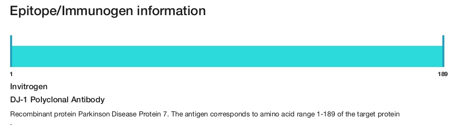 DJ-1 Polyclonal Antibody