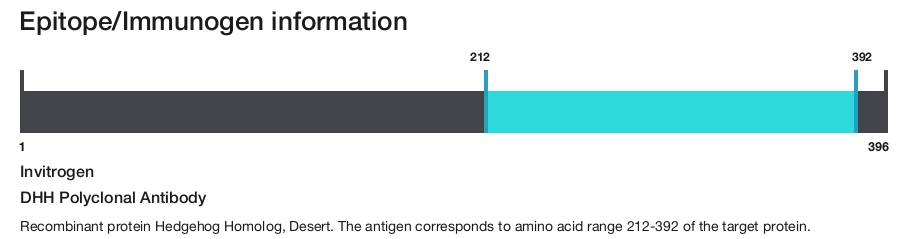 DHH Polyclonal Antibody