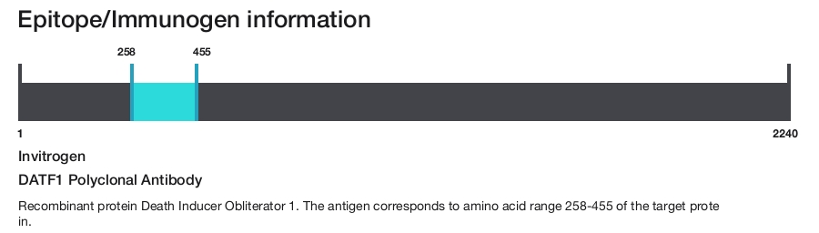 DATF1 Polyclonal Antibody