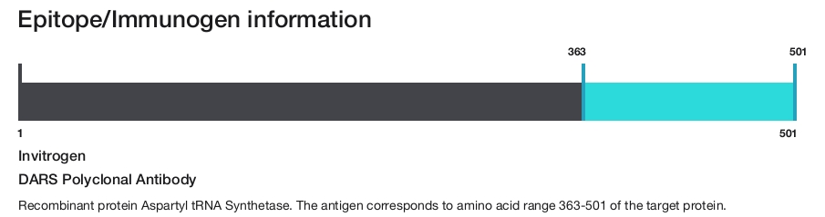 DARS Polyclonal Antibody