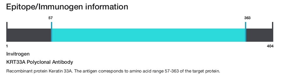 KRT33A Polyclonal Antibody