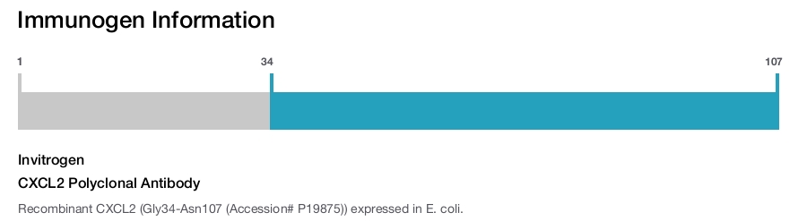 CXCL2 Polyclonal Antibody