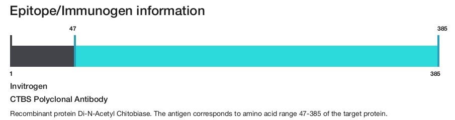 CTBS Polyclonal Antibody