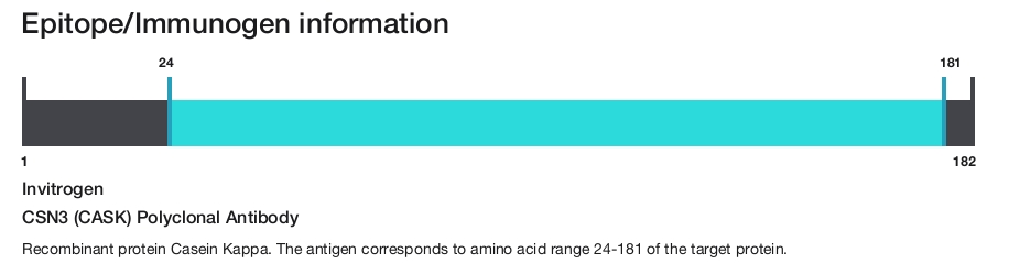CSN3 (CASK) Polyclonal Antibody