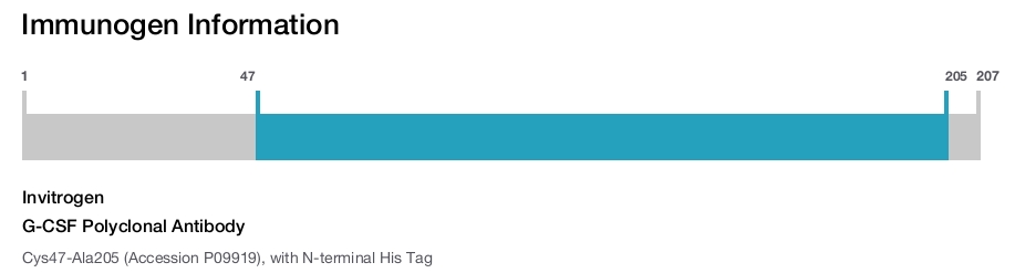 G-CSF Polyclonal Antibody
