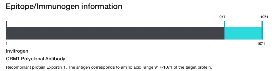 CRM1 Polyclonal Antibody
