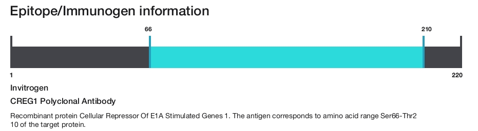 CREG1 Polyclonal Antibody