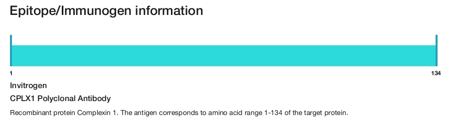 CPLX1 Polyclonal Antibody