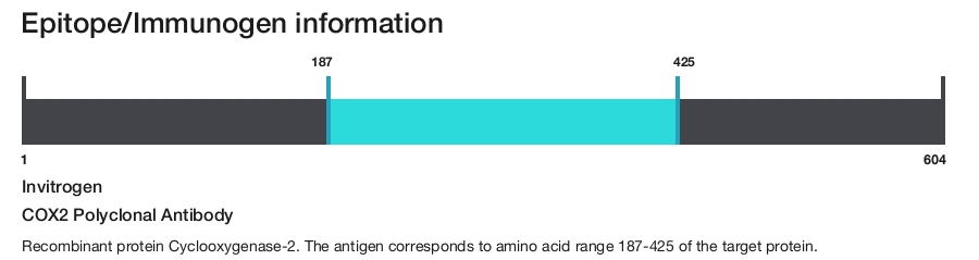 COX2 Polyclonal Antibody