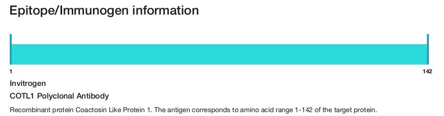 COTL1 Polyclonal Antibody