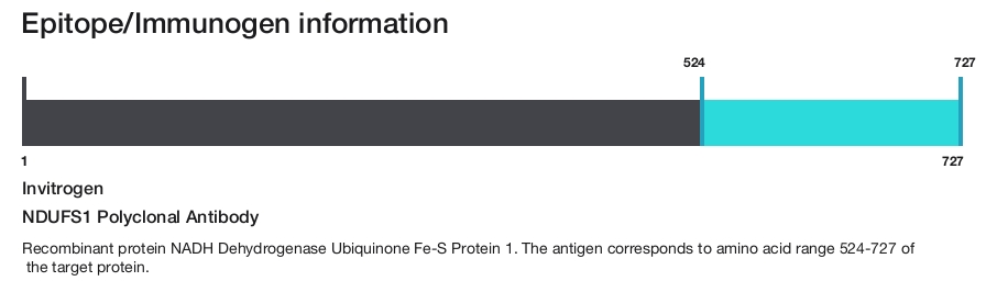 NDUFS1 Polyclonal Antibody