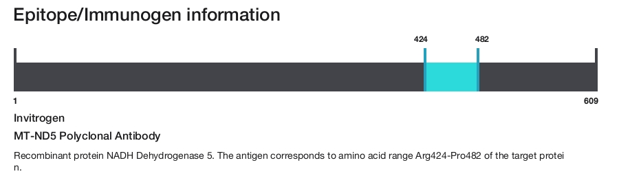 MT-ND5 Polyclonal Antibody