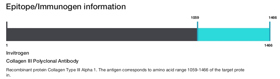 Collagen III Polyclonal Antibody
