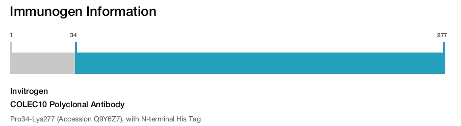 COLEC10 Polyclonal Antibody