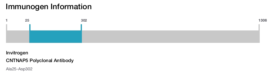 CNTNAP5 Polyclonal Antibody