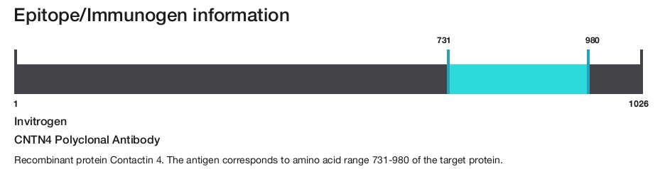 CNTN4 Polyclonal Antibody