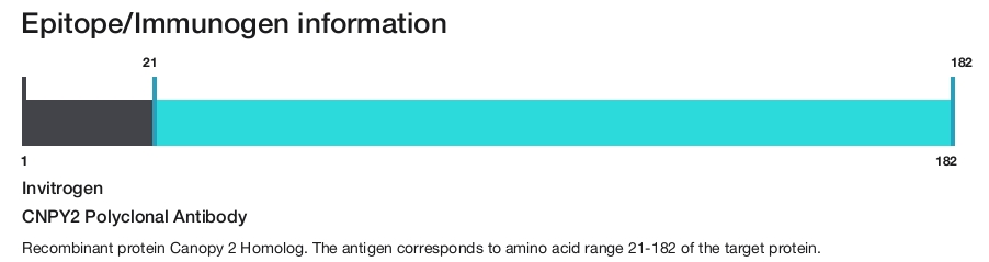CNPY2 Polyclonal Antibody