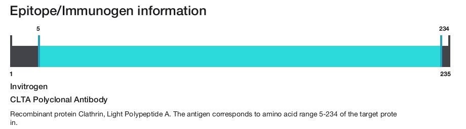 CLTA Polyclonal Antibody