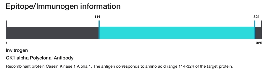 CK1 alpha Polyclonal Antibody