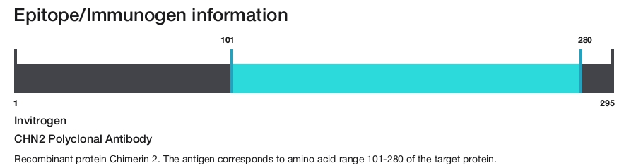 CHN2 Polyclonal Antibody