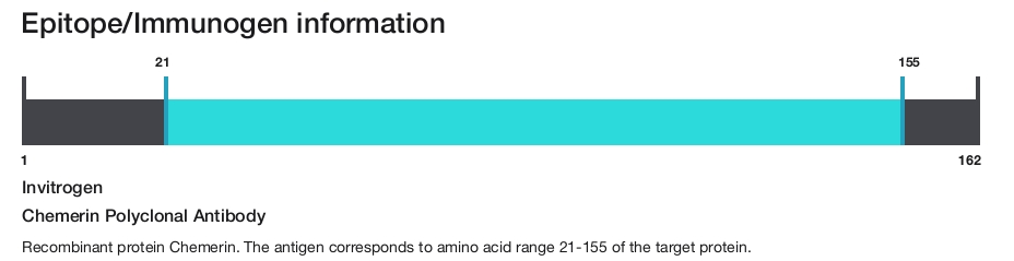 Chemerin Polyclonal Antibody