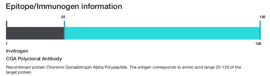 CGA Polyclonal Antibody