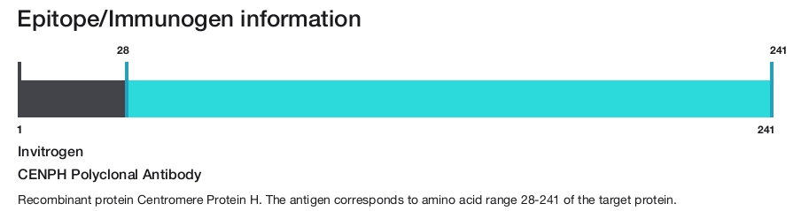 CENPH Polyclonal Antibody