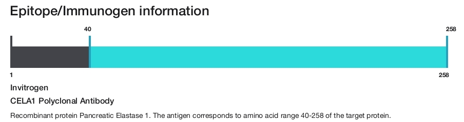 CELA1 Polyclonal Antibody