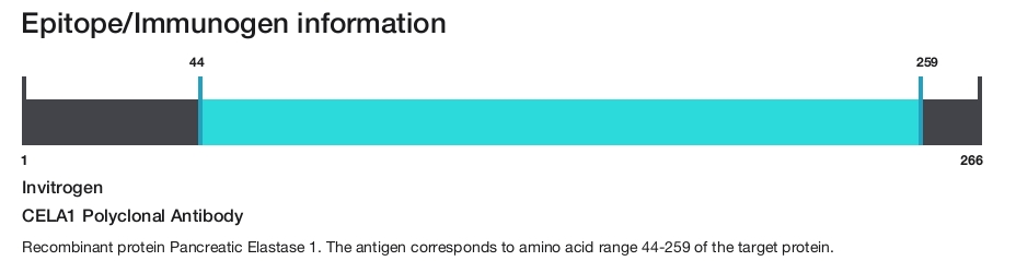 CELA1 Polyclonal Antibody